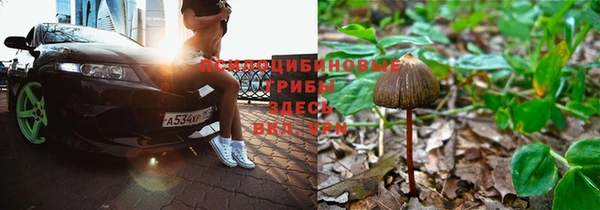 марки nbome Абаза